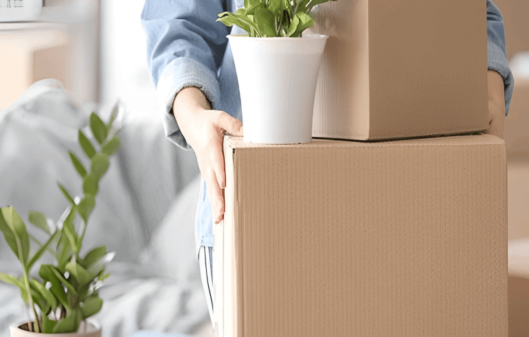 Packers and Movers
                            